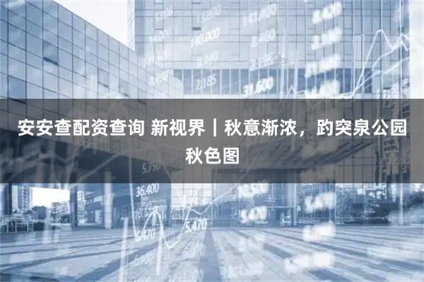 安安查配资查询 新视界｜秋意渐浓，趵突泉公园秋色图