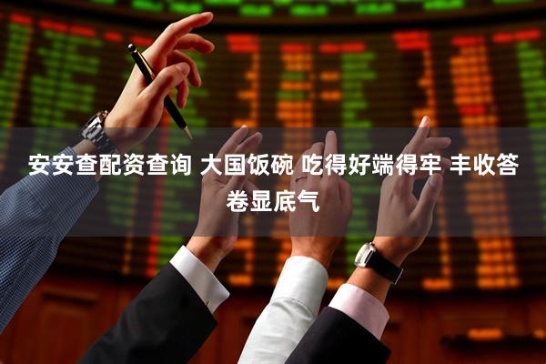 安安查配资查询 大国饭碗 吃得好端得牢 丰收答卷显底气