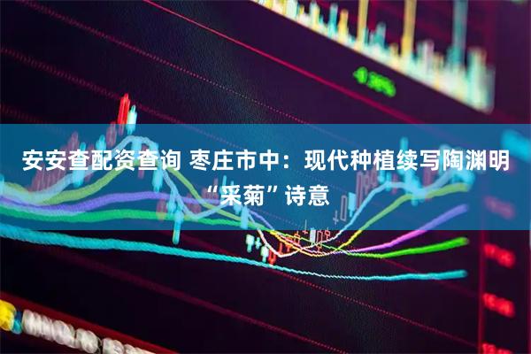 安安查配资查询 枣庄市中：现代种植续写陶渊明“采菊”诗意