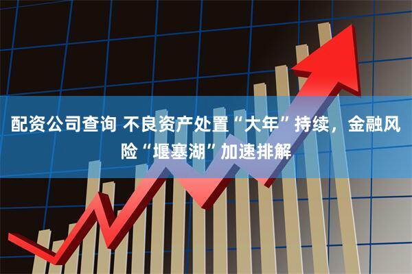配资公司查询 不良资产处置“大年”持续，金融风险“堰塞湖”加速排解