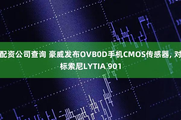 配资公司查询 豪威发布OVB0D手机CMOS传感器, 对标索尼LYTIA 901