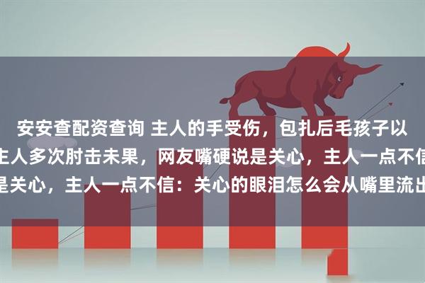 安安查配资查询 主人的手受伤，包扎后毛孩子以为炸鸡腿，硬要品尝，主人多次肘击未果，网友嘴硬说是关心，主人一点不信：关心的眼泪怎么会从嘴里流出来…