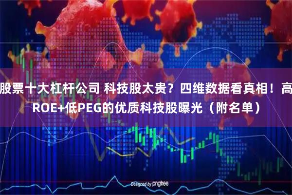 股票十大杠杆公司 科技股太贵？四维数据看真相！高ROE+低PEG的优质科技股曝光（附名单）