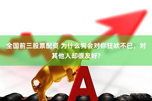 全国前三股票配资 为什么狗会对你狂吠不已，对其他人却很友好?